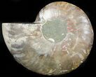 Agatized Ammonite Fossil (Half) #45530-1